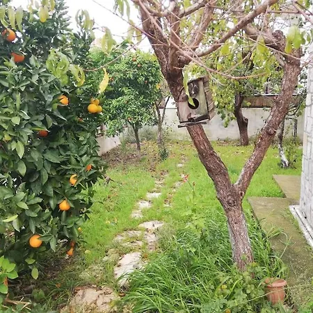 Dalyan Garden With Jacuzzi
